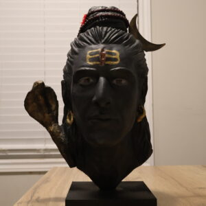 ADIYOGI VERSION - 2